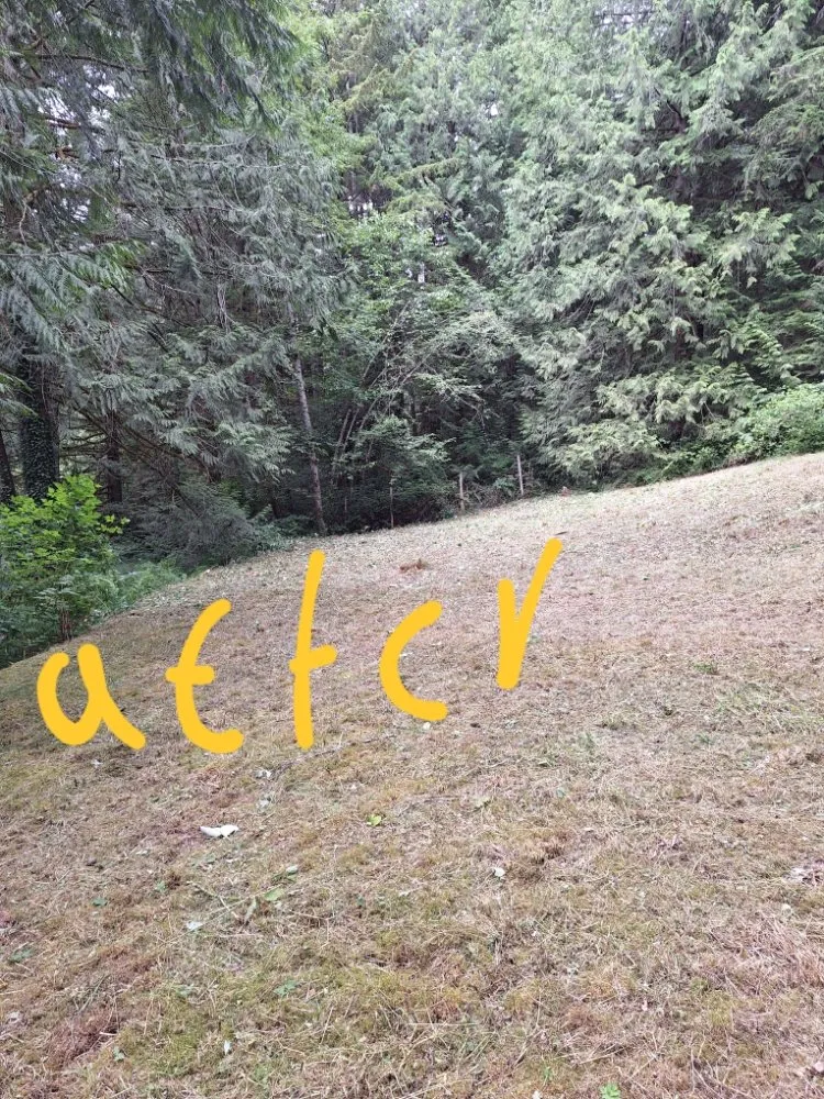 Expert outdoor landscaping for outdoor upgrades across Poulsbo, WA - Edi Arana Landscaping