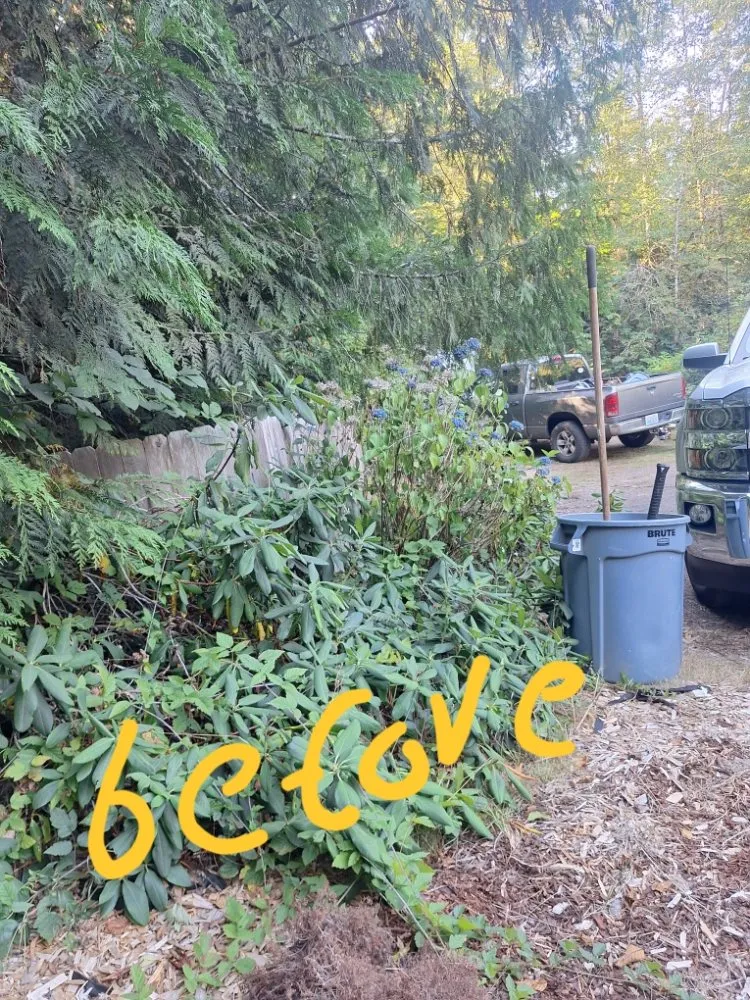 Expert lawn care service in Poulsbo, WA - Edi Arana Landscaping