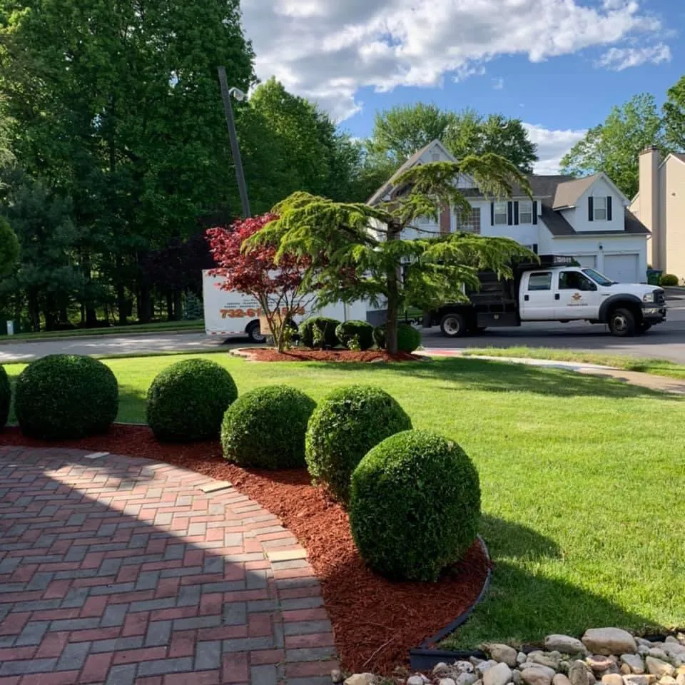 Custom landscape design for year-round maintenance across New Brunswick, NJ - Edi Landscaping