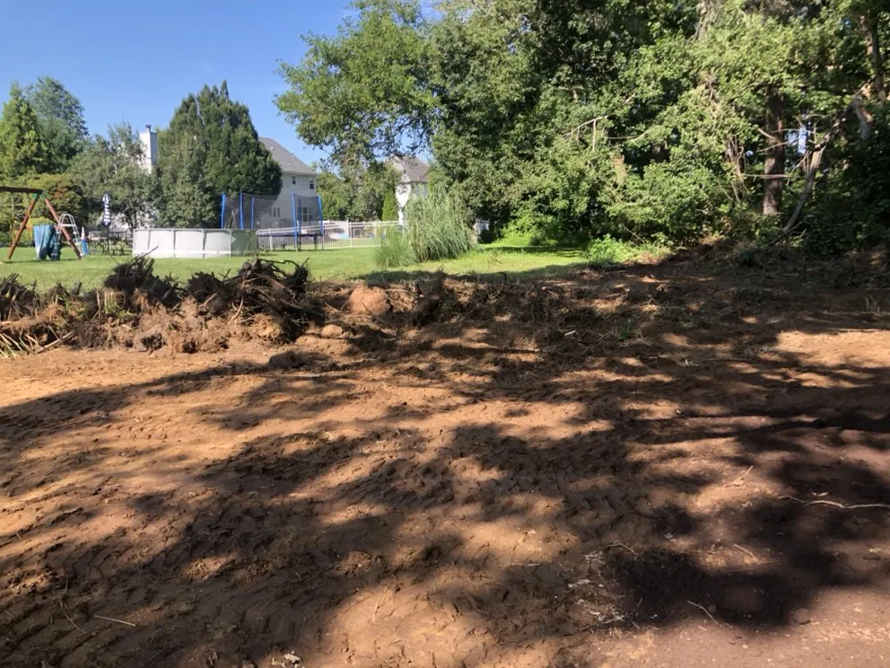 Local yard maintenance for year-round maintenance across New Brunswick, NJ - Edi Landscaping