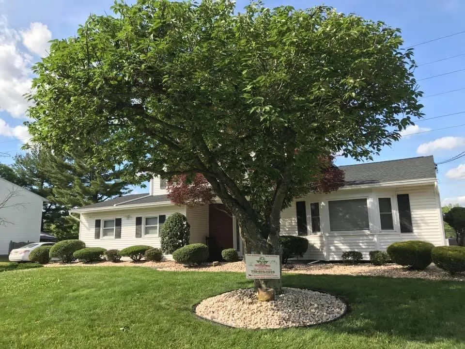 Local yard maintenance for beautiful yards across New Brunswick, NJ - Edi Landscaping