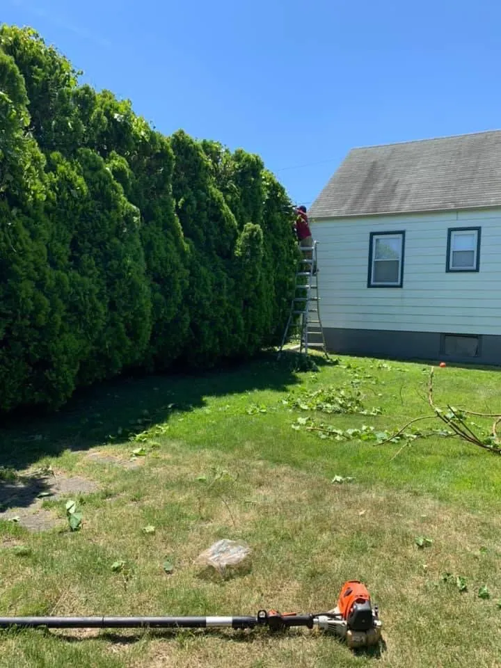 Affordable outdoor landscaping for homes across New Brunswick, NJ - Edi Landscaping