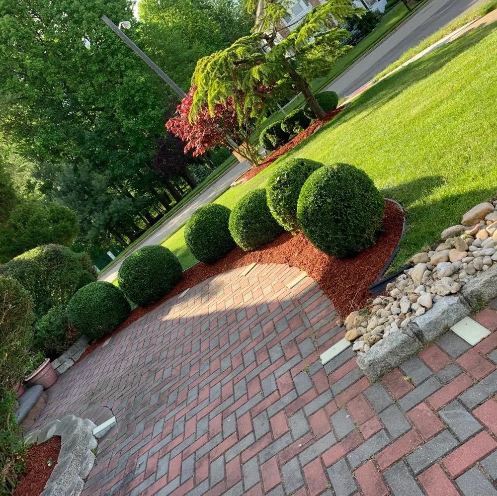 Expert yard maintenance experts serving New Brunswick, NJ - Edi Landscaping