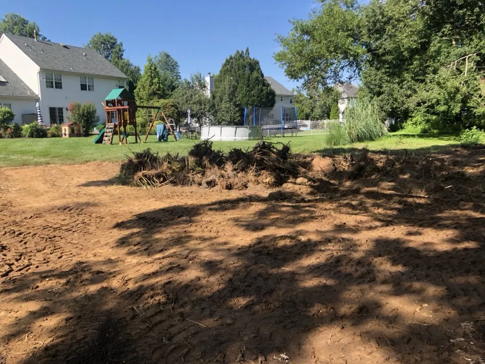 Professional landscape design for year-round maintenance across New Brunswick, NJ - Edi Landscaping