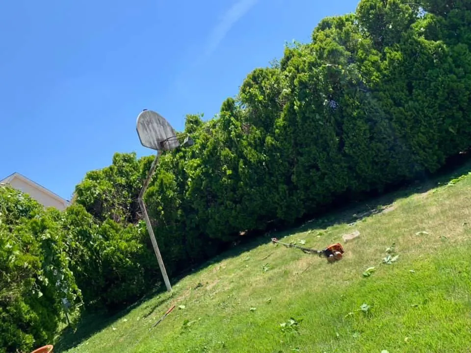 Reliable garden landscaping near you across New Brunswick, NJ - Edi Landscaping