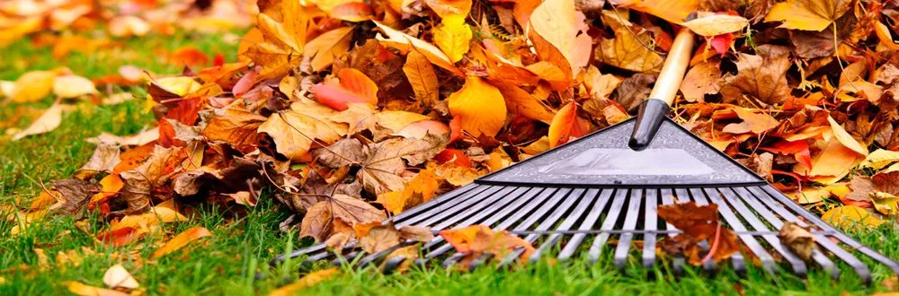 Reliable landscape design for homes across Salinas, CA - Edibelto Green Landscaping