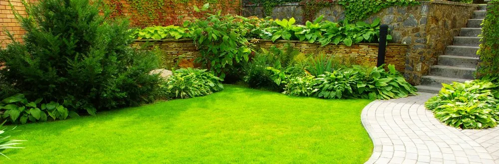 Local lawn mowing service for year-round maintenance in Salinas, CA by Edibelto Green Landscaping