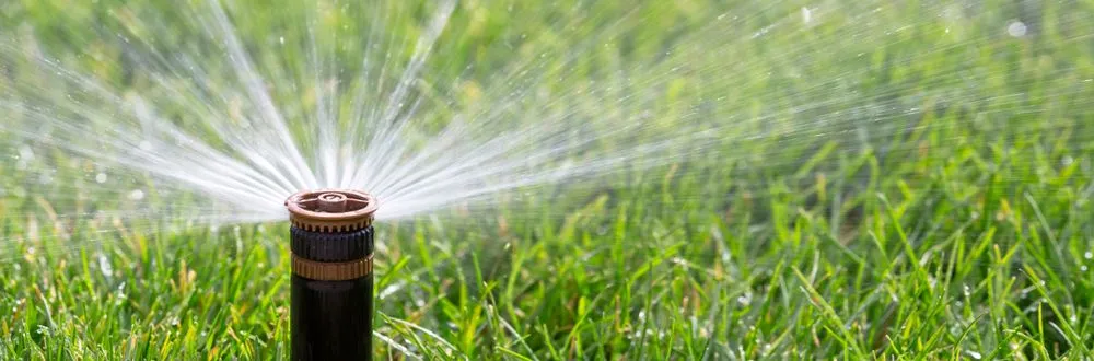 Professional lawn care service experts serving Salinas, CA - Edibelto Green Landscaping