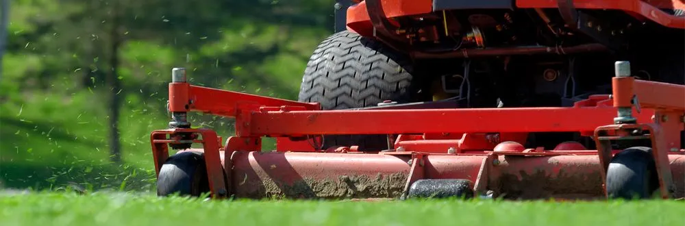 Reliable lawn care service for year-round maintenance in Salinas, CA by Edibelto Green Landscaping