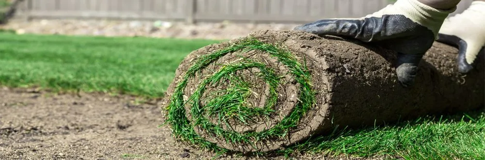 Affordable lawn care service experts serving Salinas, CA - Edibelto Green Landscaping