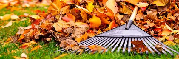 Edibelto Green Landscaping Logo