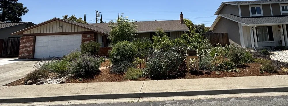 Professional landscape installation experts serving Richmond, CA - Edible Ecology