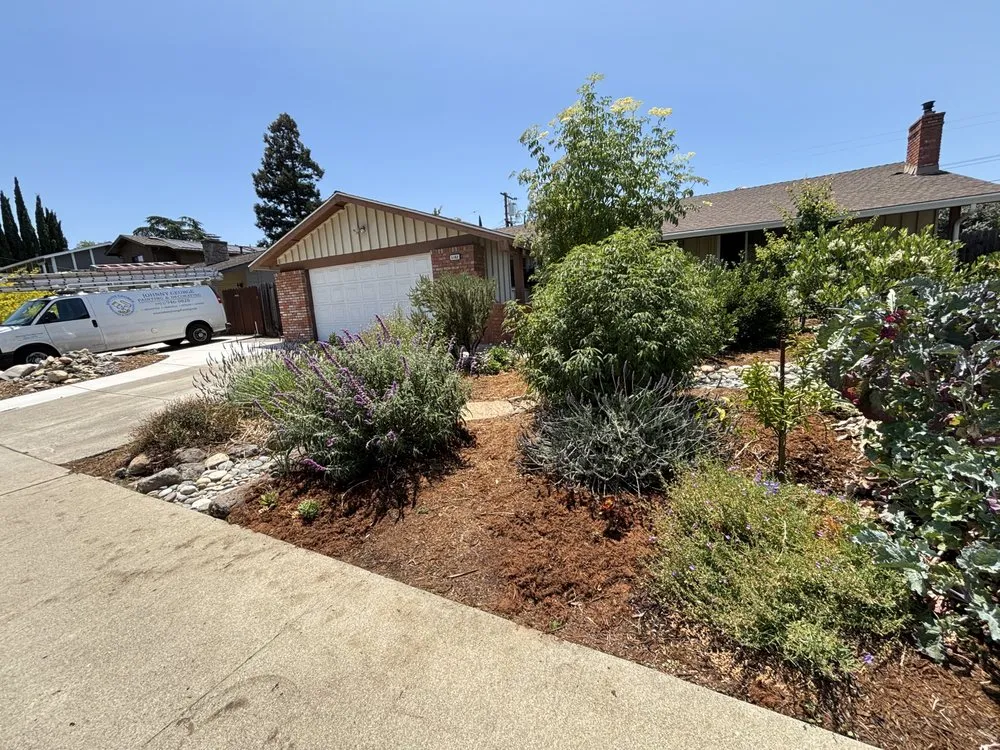 Expert yard maintenance experts serving Richmond, CA - Edible Ecology