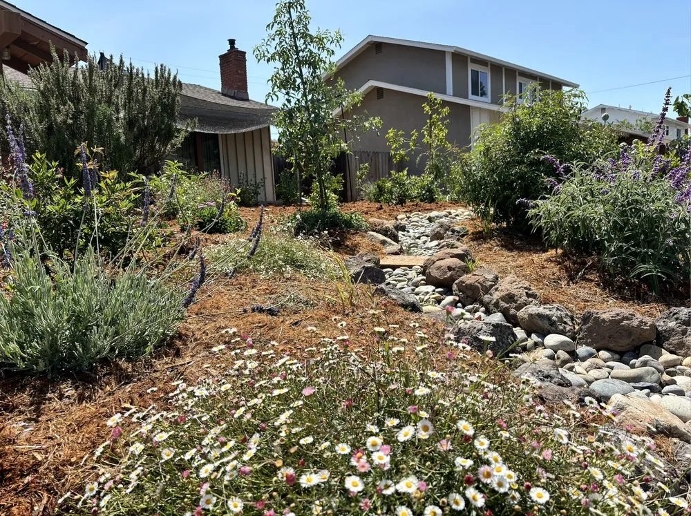Affordable outdoor landscaping in Richmond, CA by Edible Ecology
