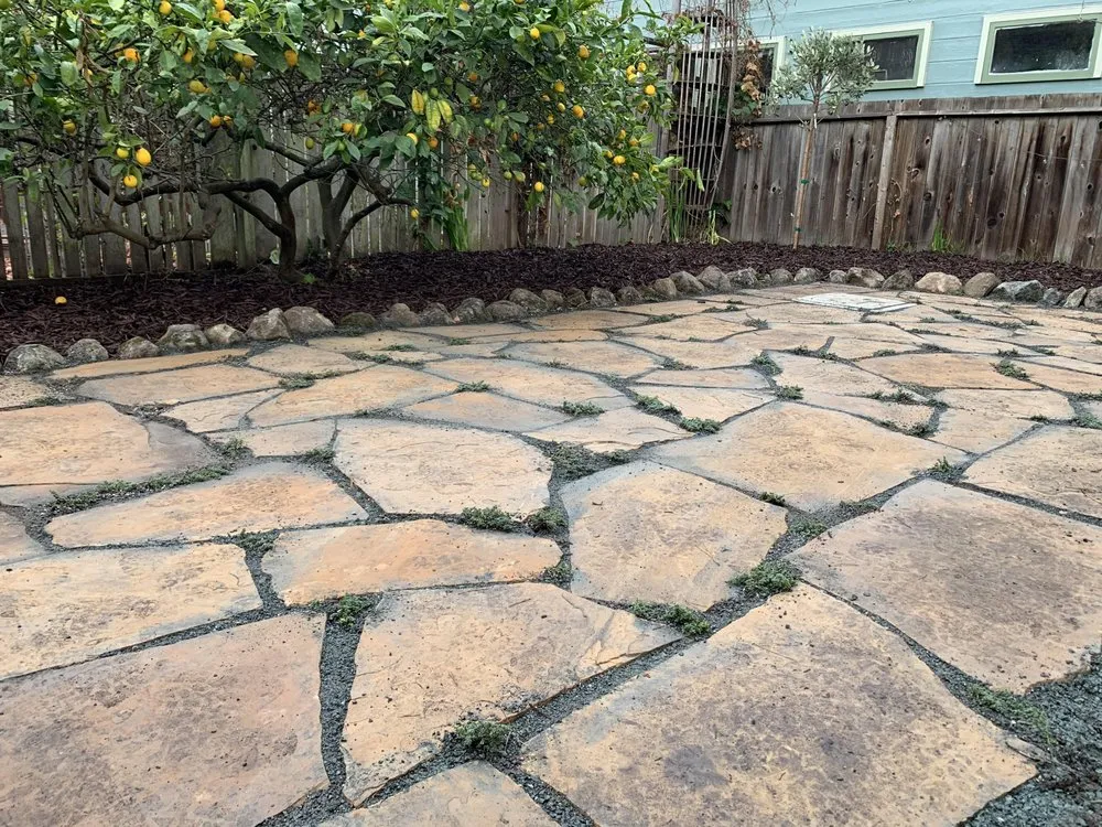 Trusted yard cleanup service for year-round maintenance across Richmond, CA - Edible Ecology