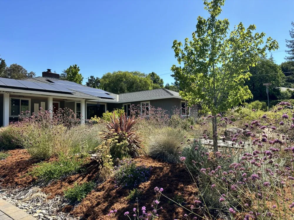 Trusted landscape design for residential properties across Richmond, CA - Edible Ecology