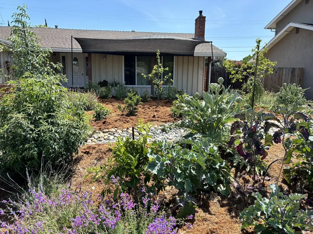 Top-rated yard maintenance for residential properties in Richmond, CA by Edible Ecology