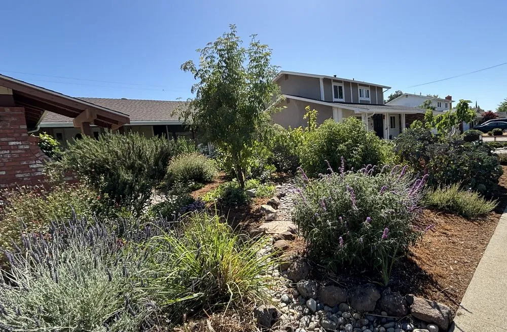 Reliable yard cleanup service in Richmond, CA - Edible Ecology