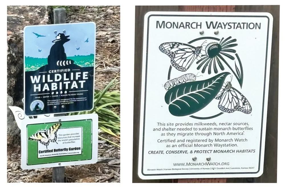 Affordable lawn mowing service for homes in Richmond, CA by Edible Ecology