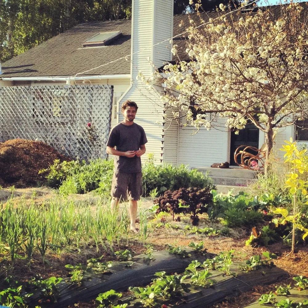 Expert yard cleanup service in Santa Cruz, CA - Edible Ecoscapes