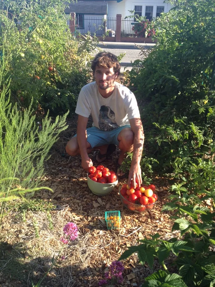 Professional landscape design in Santa Cruz, CA - Edible Ecoscapes