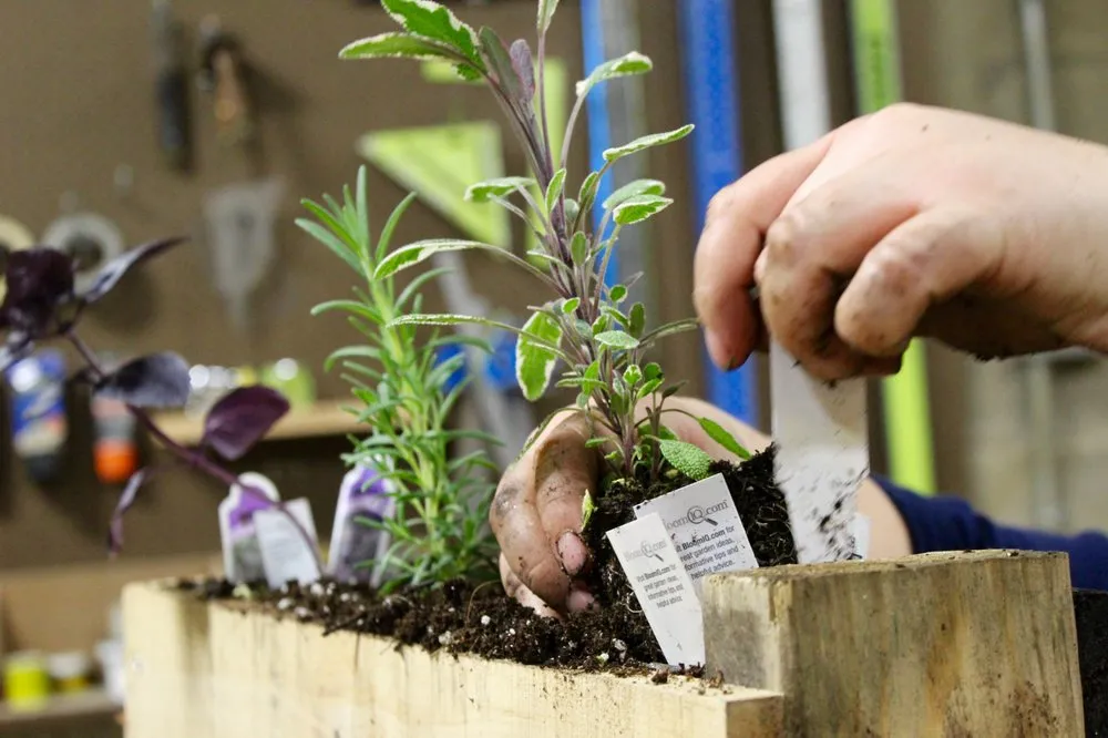 Custom lawn care service for year-round maintenance across Baltimore, MD - Edible Eden