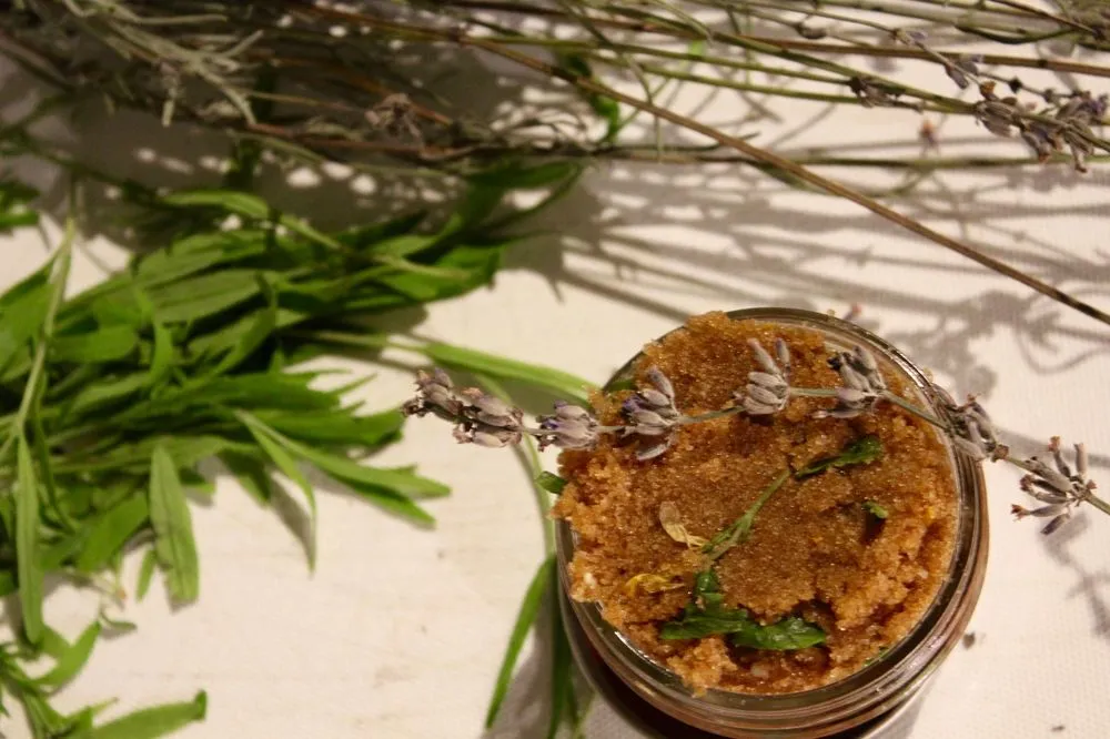 Local outdoor landscaping in Baltimore, MD by Edible Eden