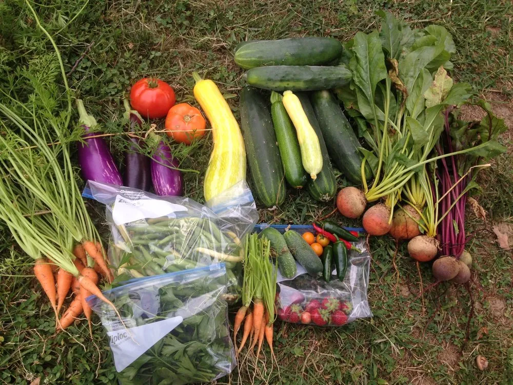 Local garden landscaping in Baltimore, MD - Edible Eden