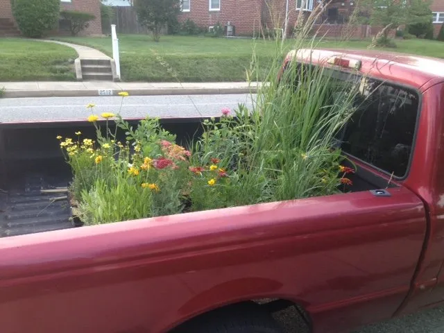 Local garden landscaping experts serving Baltimore, MD - Edible Eden