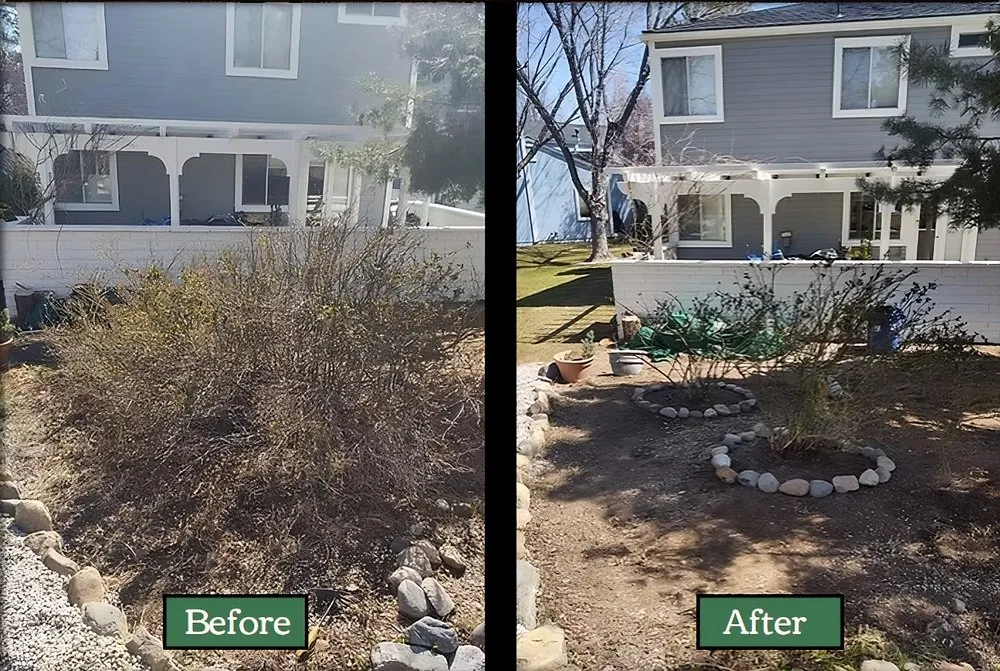 Expert lawn care service near you across Verdi, NV - Edible Eden Lawn & Garden