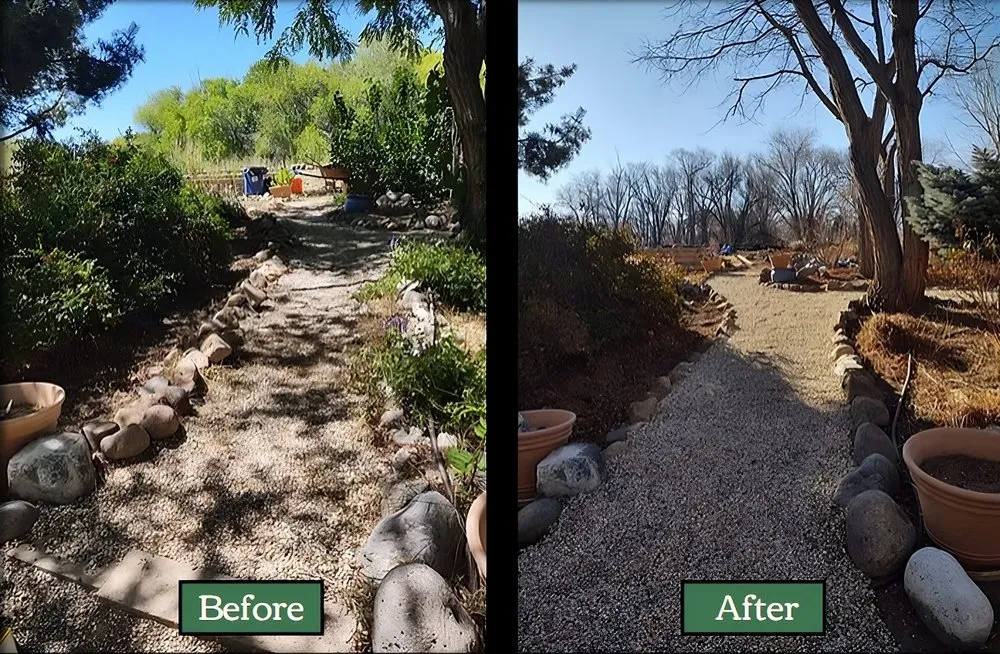 Local residential landscaping for beautiful yards in Verdi, NV by Edible Eden Lawn & Garden