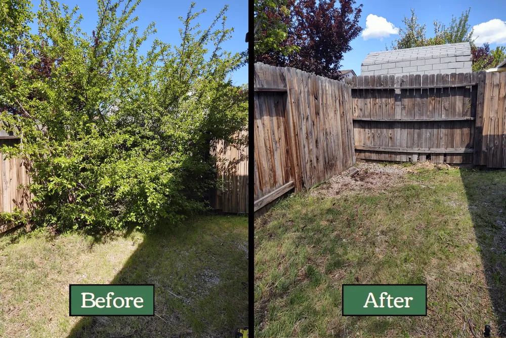 Trusted yard maintenance for beautiful yards in Verdi, NV by Edible Eden Lawn & Garden