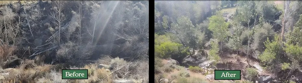 Top-rated landscape installation experts serving Verdi, NV - Edible Eden Lawn & Garden