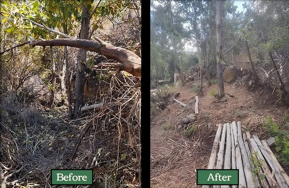 Local yard cleanup service in Verdi, NV - Edible Eden Lawn & Garden