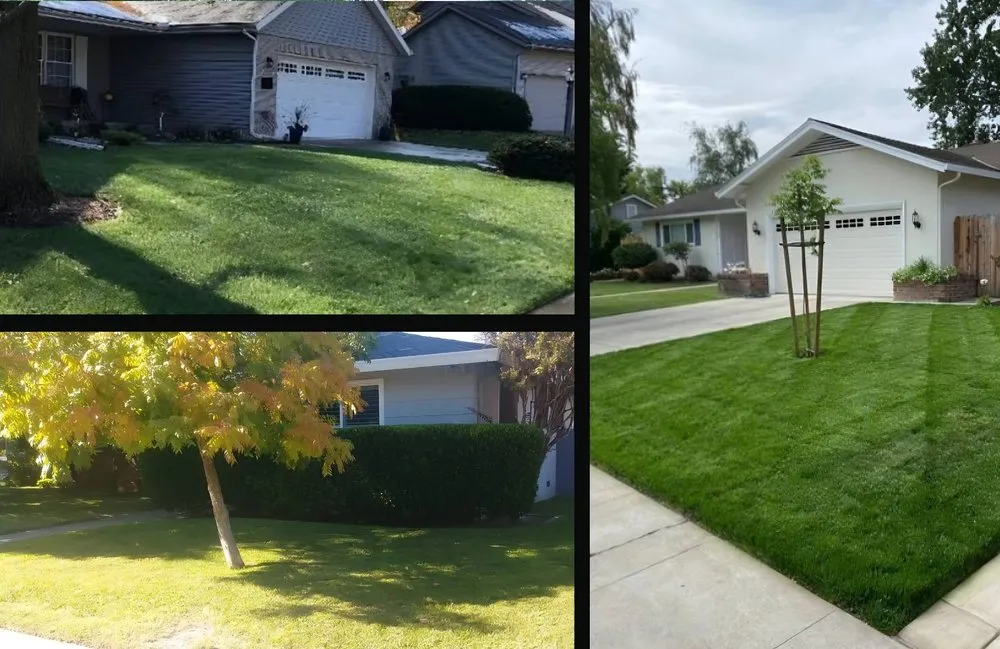 Trusted landscaping services in Verdi, NV - Edible Eden Lawn & Garden