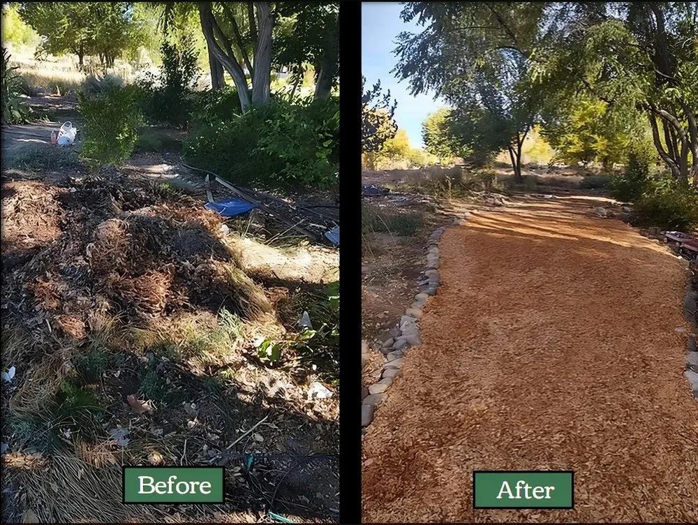 Custom landscape installation for beautiful yards across Verdi, NV - Edible Eden Lawn & Garden