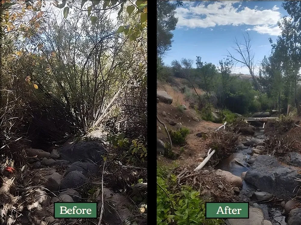 Custom yard cleanup service in Verdi, NV - Edible Eden Lawn & Garden