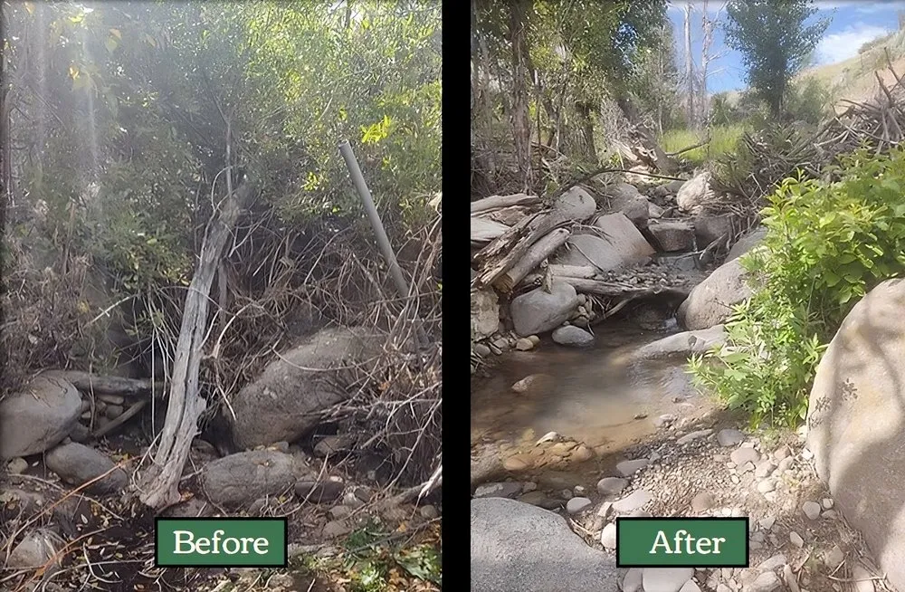 Local landscape design in Verdi, NV by Edible Eden Lawn & Garden