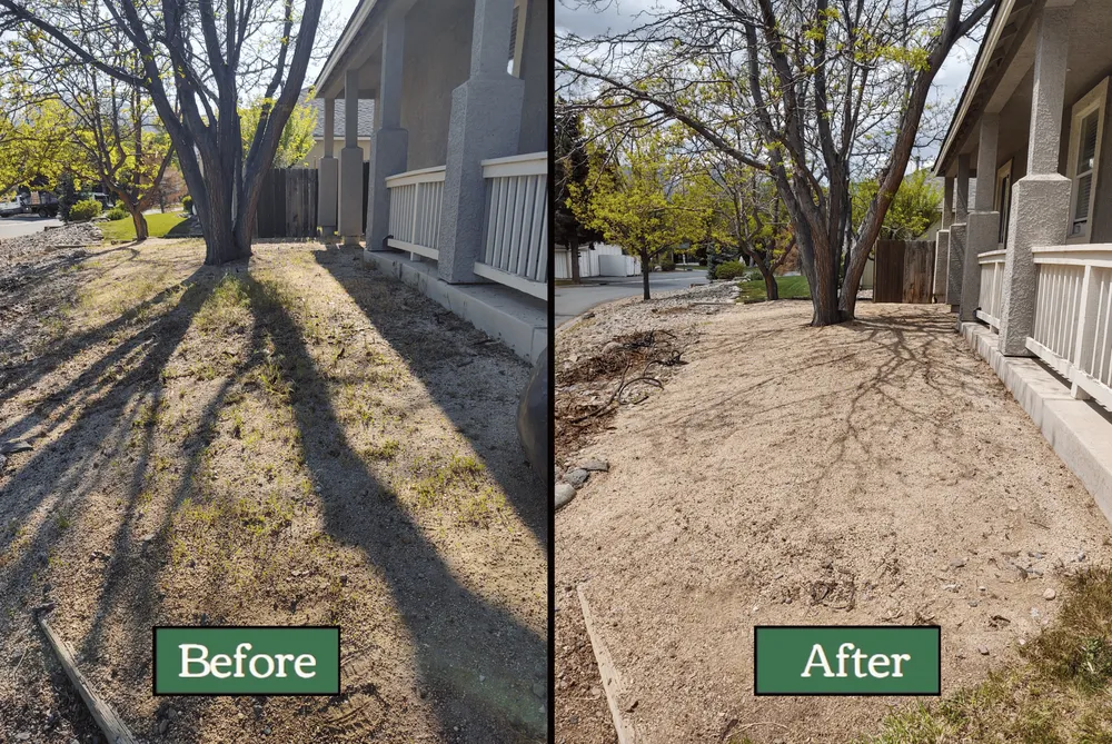 Top-rated yard cleanup service for year-round maintenance across Verdi, NV - Edible Eden Lawn & Garden