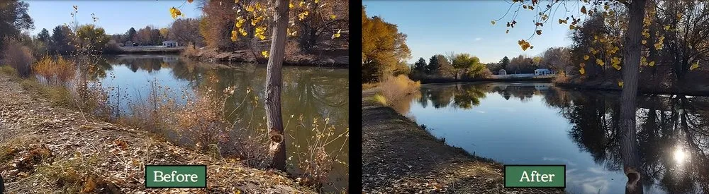 Local residential landscaping experts serving Verdi, NV - Edible Eden Lawn & Garden