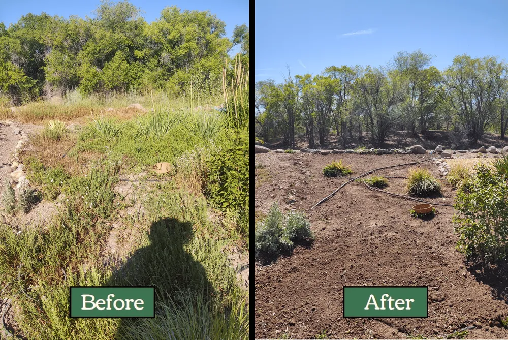 Custom lawn mowing service experts serving Verdi, NV - Edible Eden Lawn & Garden