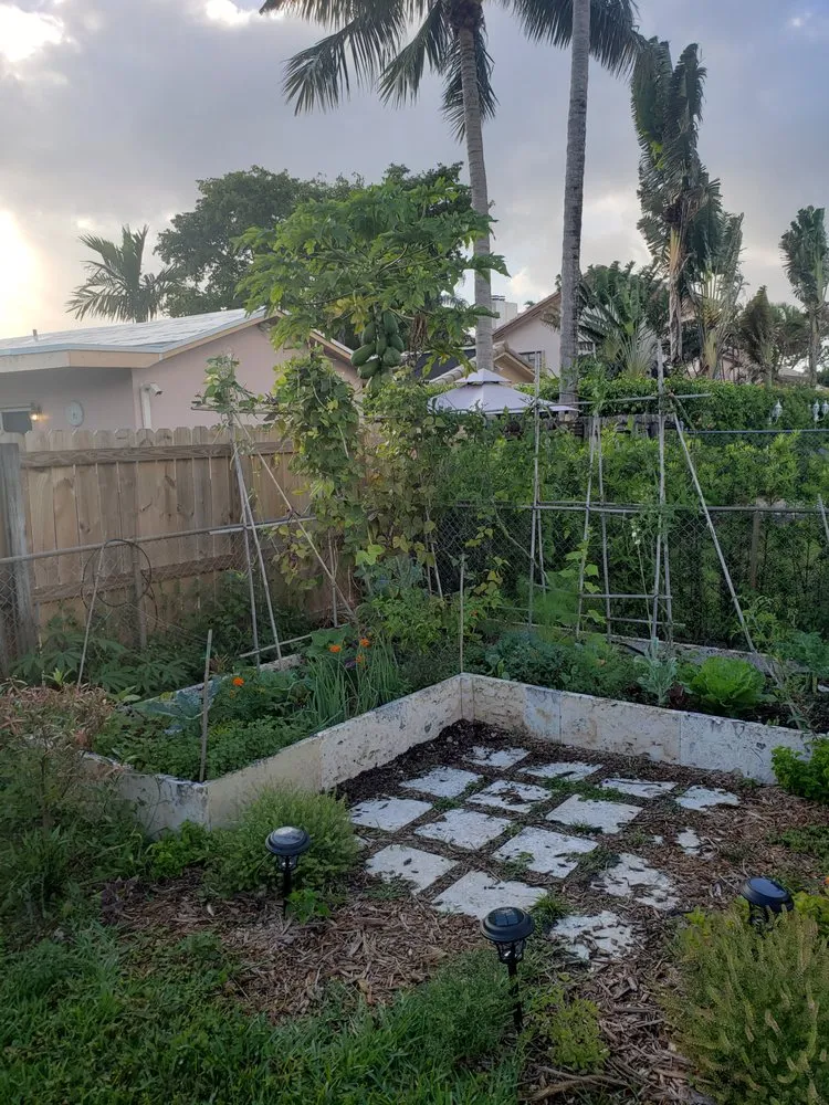 Reliable lawn mowing service in Miami, FL by Edible Landscape Solutions