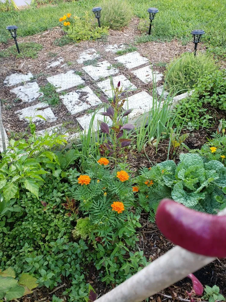 Professional landscaping services in Miami, FL - Edible Landscape Solutions