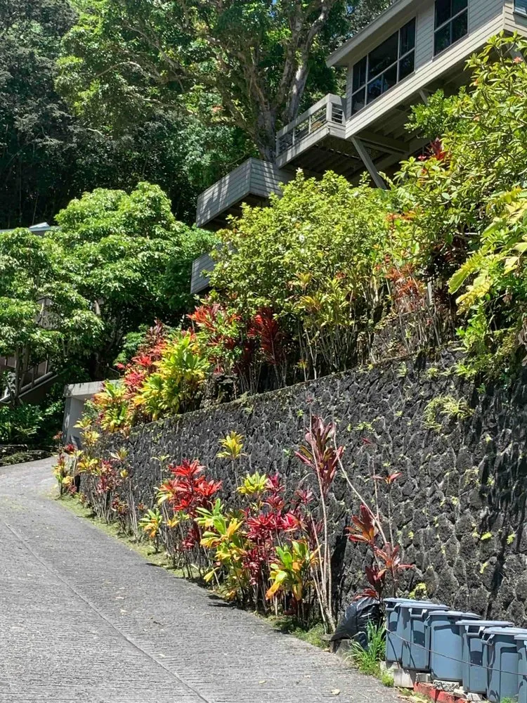 Professional garden landscaping in Honolulu, HI - Edible Landscapes & More