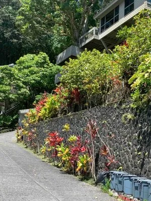 Edible Landscapes & More Logo