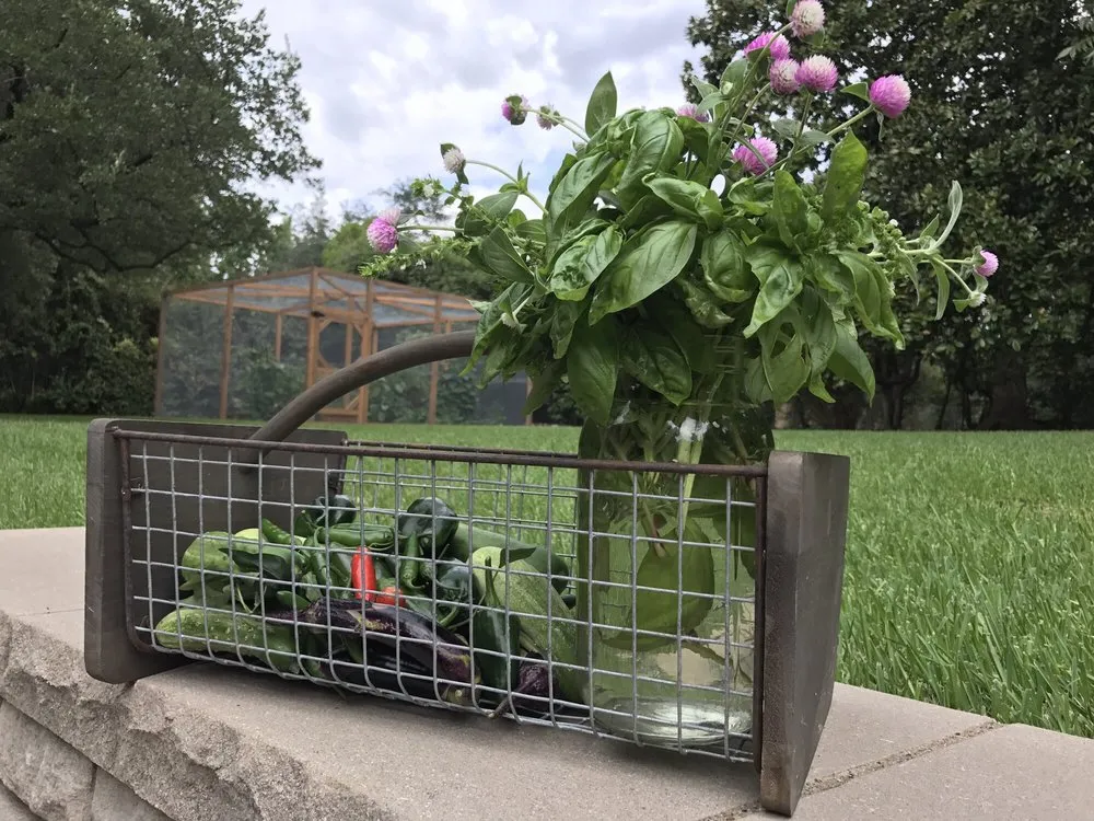 Professional landscape installation for year-round maintenance across Dallas, TX - Edible Landscapes Dallas