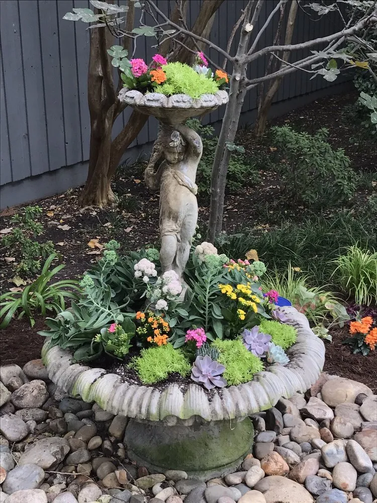 Affordable yard cleanup service in Dallas, TX - Edible Landscapes Dallas