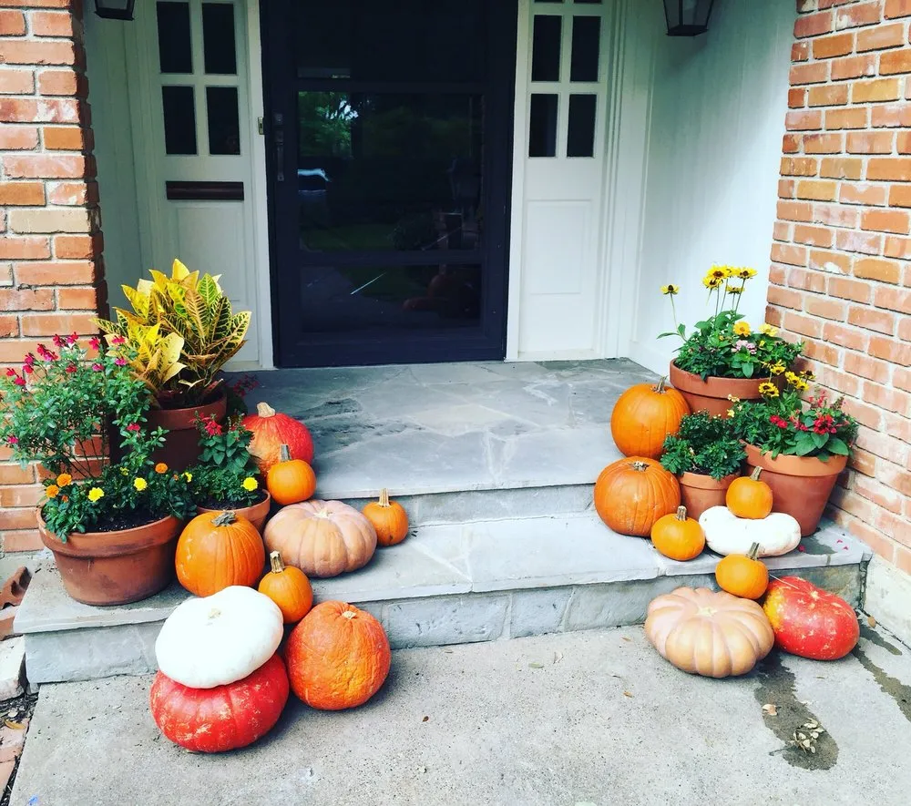 Trusted yard cleanup service near you in Dallas, TX by Edible Landscapes Dallas