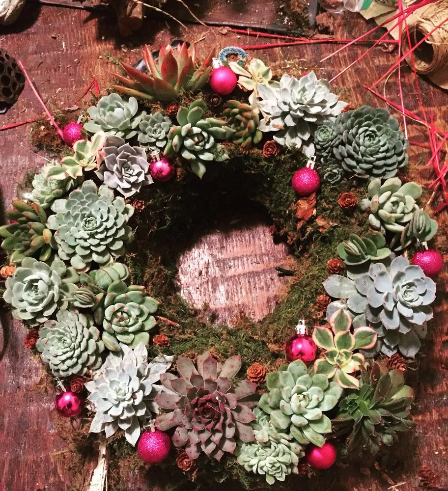 Professional lawn care service experts serving Dallas, TX - Edible Landscapes Dallas