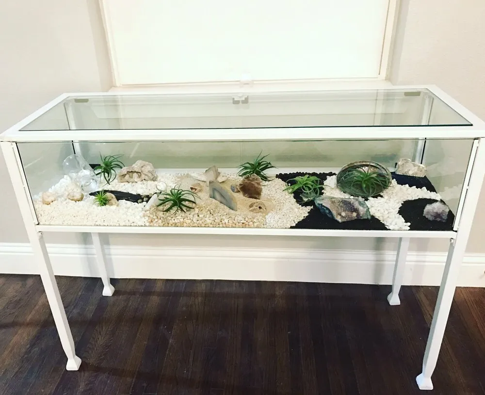 Professional outdoor landscaping experts serving Dallas, TX - Edible Landscapes Dallas